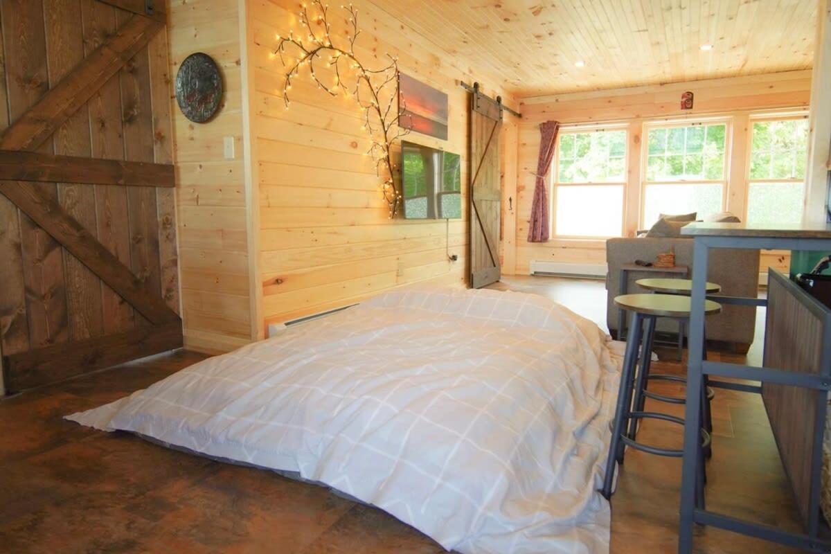 Loza House Adirondack Skydeck Unit Lake Front 普拉茨堡 外观 照片