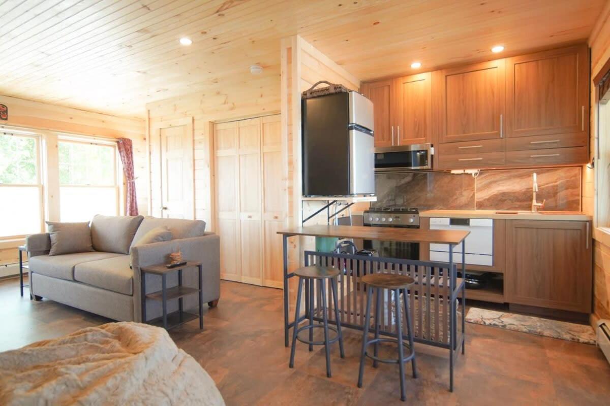 Loza House Adirondack Skydeck Unit Lake Front 普拉茨堡 外观 照片